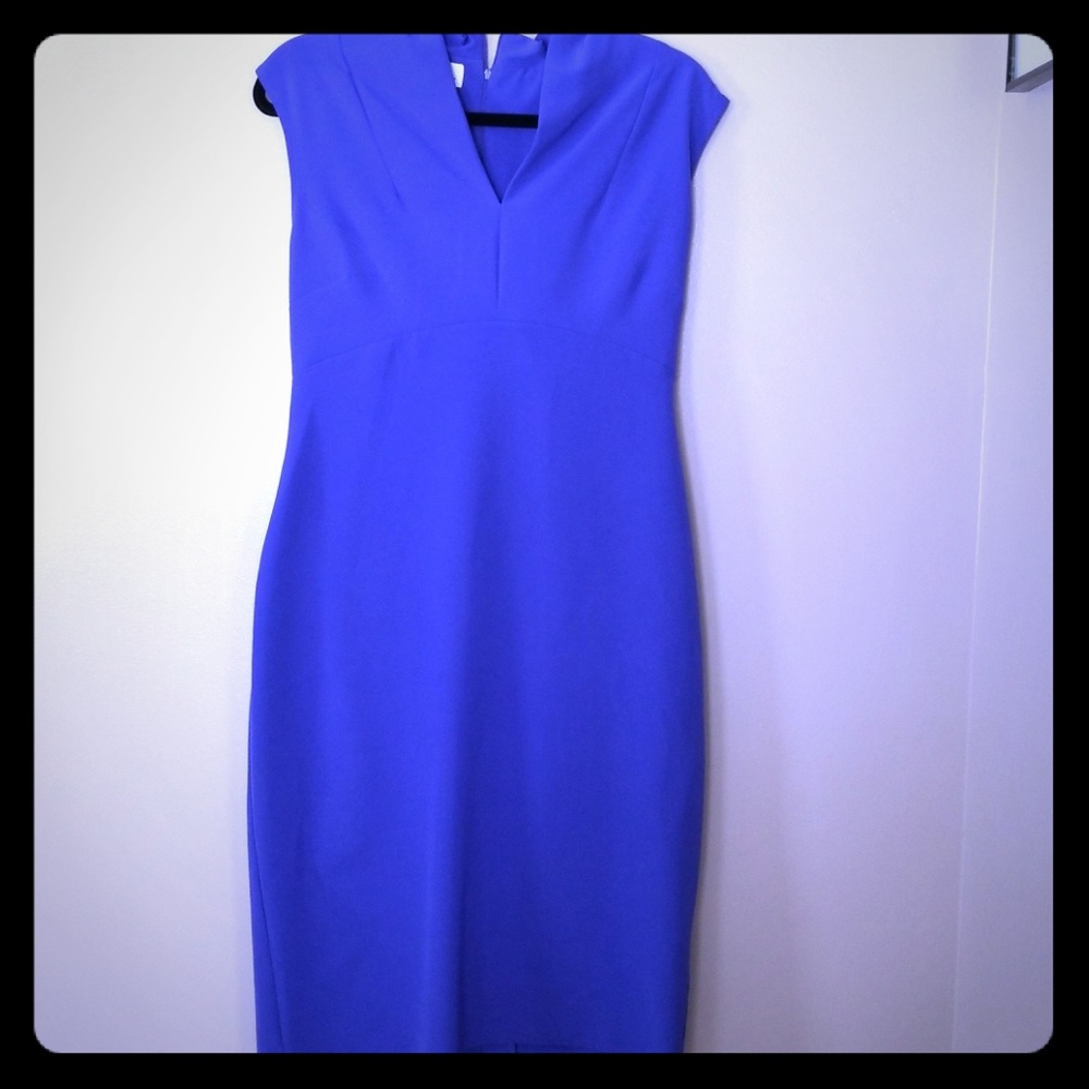 Fitted sheath dress